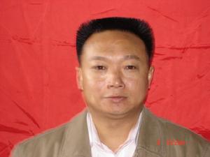 王平安[四川省邛崍市前進鎮黨委副書記、紀委書記]