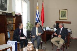 弗洛雷斯省 弗洛雷斯省