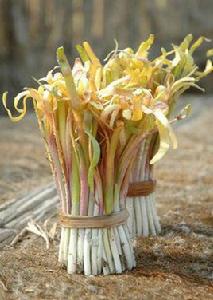 四色韭黃 四色韭黃