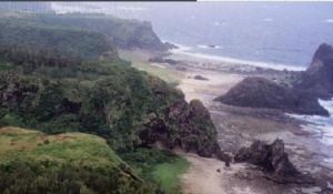 長軸珊瑚 長軸珊瑚