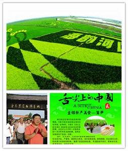 上口子村 上口子村