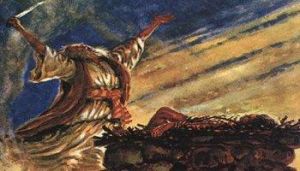 哈尼夫運動 哈尼夫運動