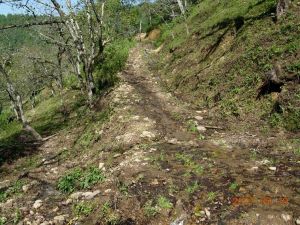 恩地么村 恩地么村