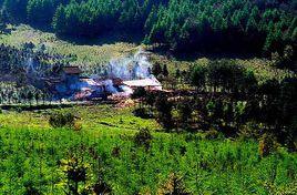 千家坪森林公園 千家坪森林公園