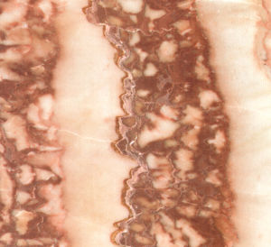 夢彩虹 | Rainbow Red |