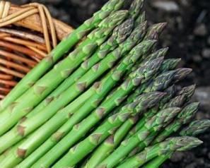 蘆筍的功效與作用 蘆筍的功效與作用