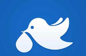 菜鳥裹裹 菜鳥裹裹