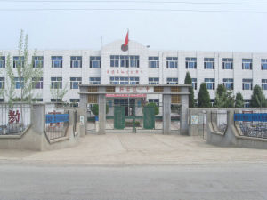 寶坻區新安鎮初級中學
