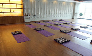 紹興悠然瑜伽 紹興悠然瑜伽