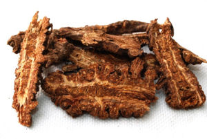 調氣木香丸 調氣木香丸