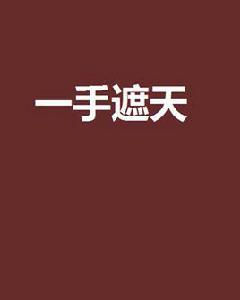 一手遮天[小說]