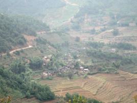 田邊一隊自然村 田邊一隊自然村