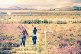 阜新皇家薰衣草莊園 阜新皇家薰衣草莊園