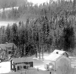 《愛麗絲漫遊奇境》