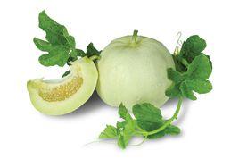 樂平雪梨瓜 樂平雪梨瓜