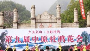 中原堯山杜鵑花會 中原堯山杜鵑花會