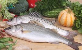 七星鱸魚 七星鱸魚