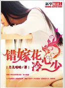 錯嫁花心冷少 錯嫁花心冷少