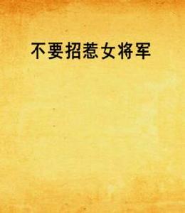 不要招惹女將軍 不要招惹女將軍