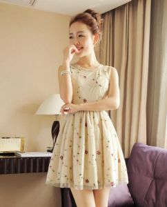 米色歐根紗繡花裙