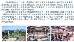 正和集團股份有限公司 正和集團股份有限公司