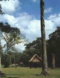 基里瓜考古公園及遺址 基里瓜考古公園及遺址