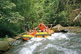 百色大王嶺風景區 百色大王嶺風景區