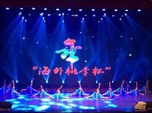 亞洲藝術盛典 亞洲藝術盛典