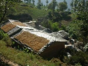 彎房子自然村 彎房子自然村