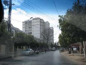 恆安新鄰居 恆安新鄰居