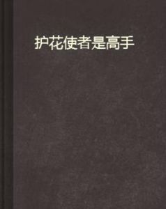 護花使者是高手 護花使者是高手