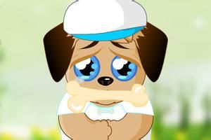 她和她的小狗 她和她的小狗