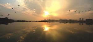 環境資源 環境資源