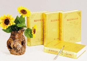 《俄漢詳解大詞典》