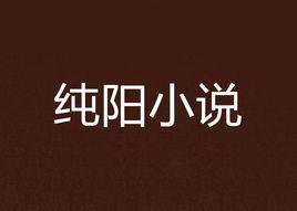 純陽小說 純陽小說