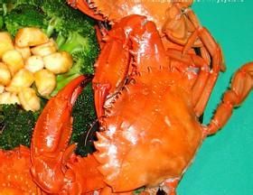 帶子蘭花赤甲紅 帶子蘭花赤甲紅