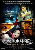 迷途水中花 迷途水中花