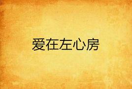 愛在左心房 愛在左心房