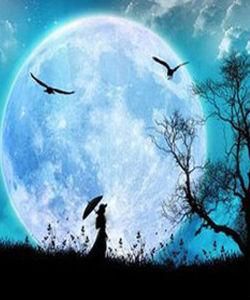 月亮星座 月亮星座