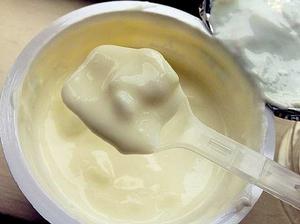 嗜溫菌發酵乳 嗜溫菌發酵乳