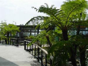 （圖）高雄市原生植物園