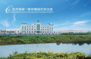 德州恆豐集團 德州恆豐集團