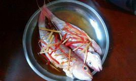 清蒸紅杉魚 清蒸紅杉魚