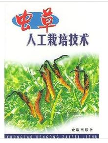 蟲草人工栽培技術 蟲草人工栽培技術