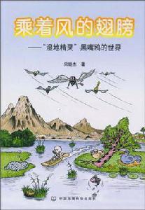 乘著風的翅膀 乘著風的翅膀