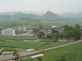 龍崗鎮中學 龍崗鎮中學