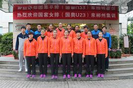 2015年U23女排世錦賽 2015年U23女排世錦賽