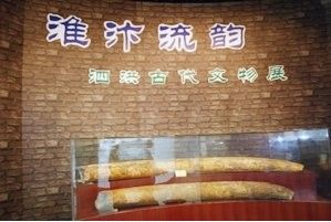 泗洪縣博物館 泗洪縣博物館