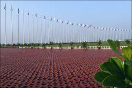 天津寧河現代產業園區 天津寧河現代產業園區