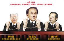 公安部證實謝亞龍、李冬生、蔚少輝立案調查